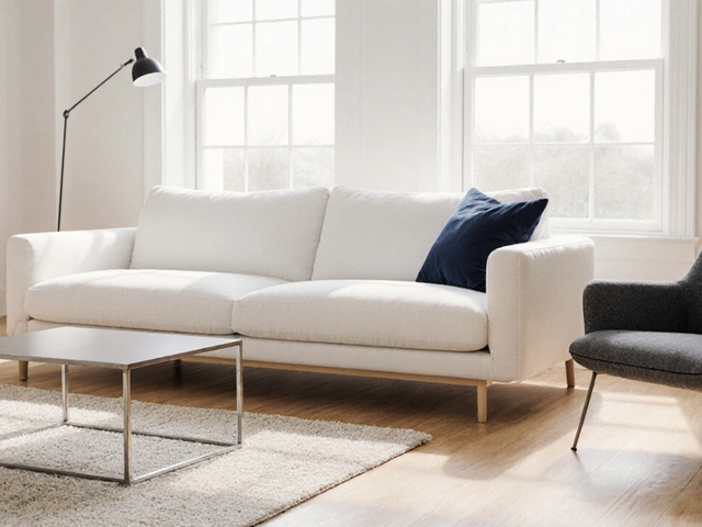 Timeless Furniture Colors: A Complete Guide to Ever‑Green Shades