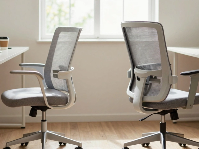 What Is the Difference Between a Task Chair and an Office Chair?