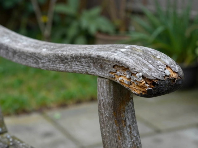 How to Stop Garden Furniture from Rotting: A Complete Guide